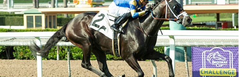 Mo Forza Represented by First Winner