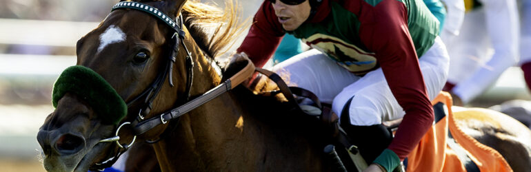 Grand Slam Smile Seeks Distaff Repeat