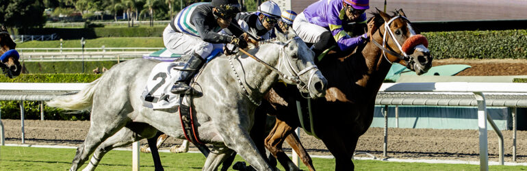 Man O Rose Edges Lovesick Blues