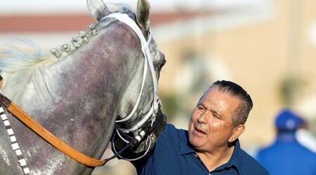 Librado Barocio Swinging for the Stars