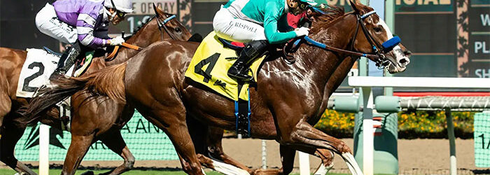 Sneaker Beats Grand Slam Smile in Distaff