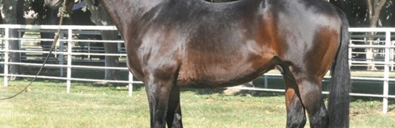 Uptown Rythem Relocates to Rancho San Miguel