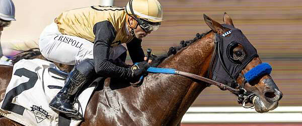 Ocean Bear Completes Barton-bred Sweep