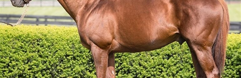 Collected to Stand at Rancho San Miguel