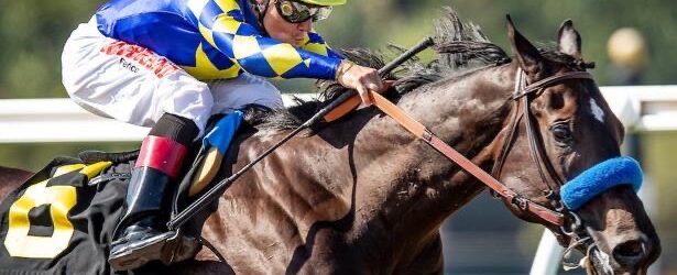 Eight Rings Relocates to Rancho San Miguel