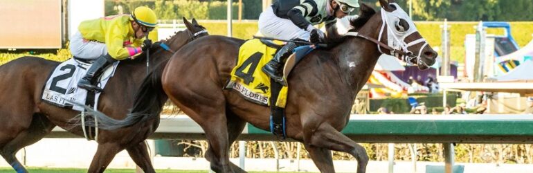 Cal-bred Chismosa Sells for $375,000