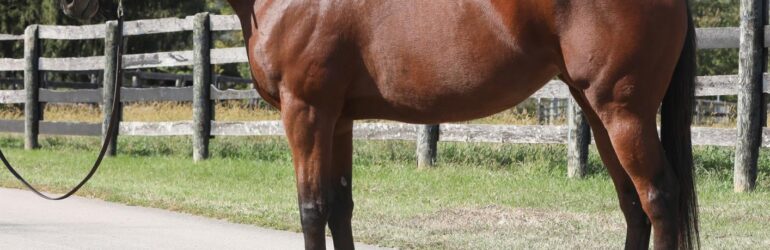 Big Pond Sells for $320,000