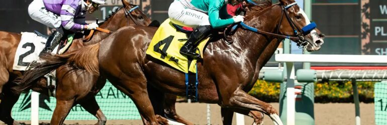 Grand Slam Smile, Sneaker Resume Duel