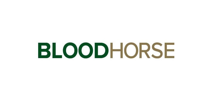 BloodHorse Offers Paid Internship