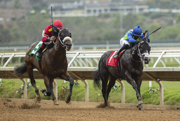 Cal-bred Trio Tangles in KLAQ Handicap