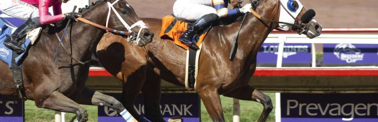 Speedy Wilson, Berlin Wall Take Malibu Shot