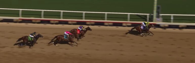 Vodka Vodka Enters Pincay Jr. Stakes