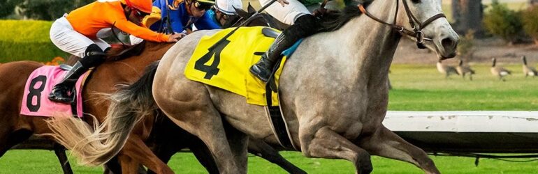 Stakes Winner Hey Jessie in Astra