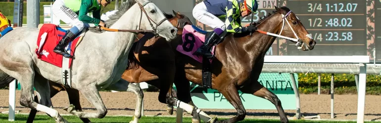 Big ‘Cap Next for Vodka Vodka