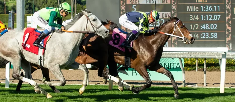 Vodka Vodka, Om N Joy Ready for Tests