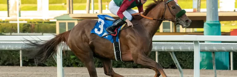 Graded Stakes Next for Grand Slam Smile