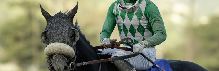 Graded Stakes Next for Start the Ride, Cee Drew