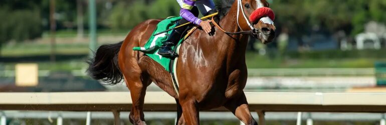 Streaking Man O Rose Rolls in Valpredo Sprint