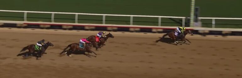 Intriguing Unusual Heat Classic