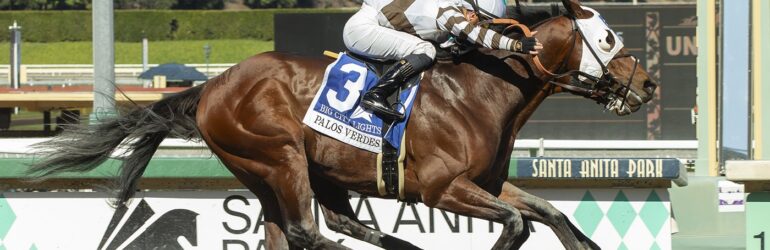 Big City Lights Seeks Valpredo Sprint Repeat