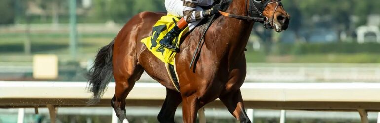 Sensational Star Next for Big City Lights