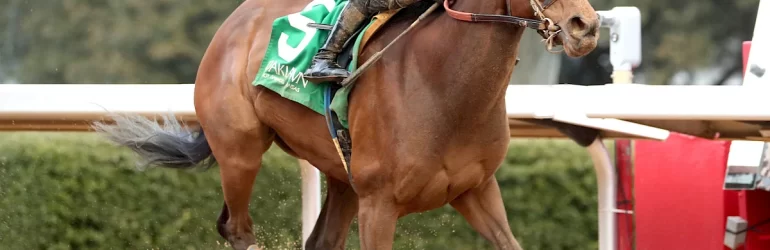 Grade I Azeri Next for Majestic Oops