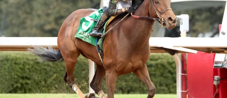 Grade I Azeri Next for Majestic Oops