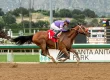 Streaking Man O Rose Wins Palos Verdes