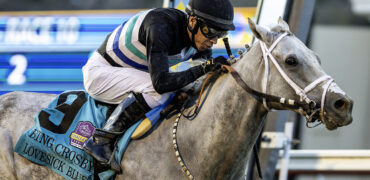 Lovesick Blues Cal-bred Horse of the Year