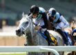 Lovesick Blues Set for Dubai Golden Shaheen