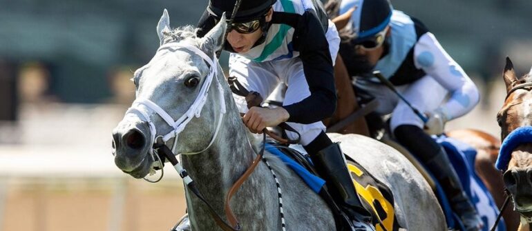 Lovesick Blues Set for Dubai Golden Shaheen