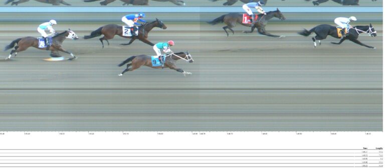 My First Legacy Wins in Puerto Rico