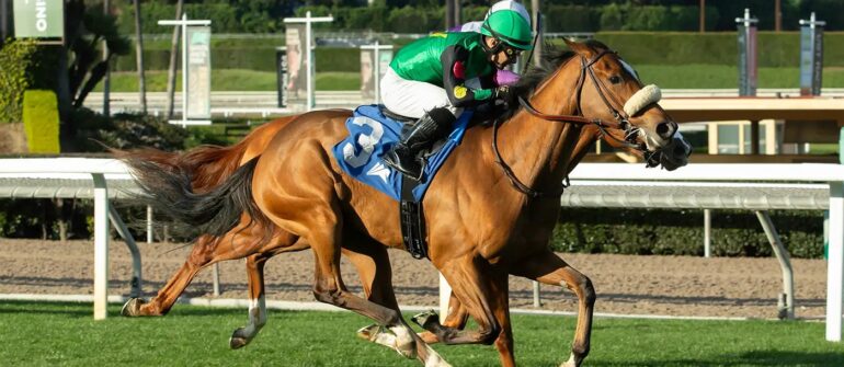 Cee Drew, My Love Caroline in Santa Ysabel