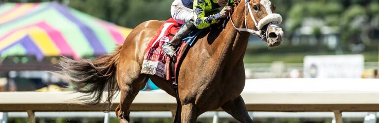 Om N Joy Steps Up to Grade I Beholder Mile