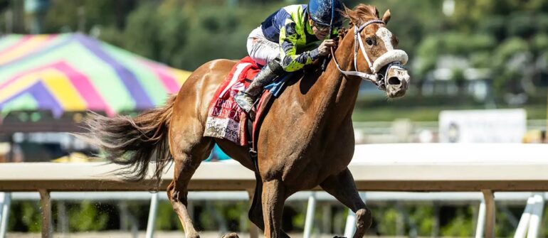 Om N Joy Steps Up to Grade I Beholder Mile