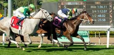 Vodka Vodka Enters Santa Anita Handicap