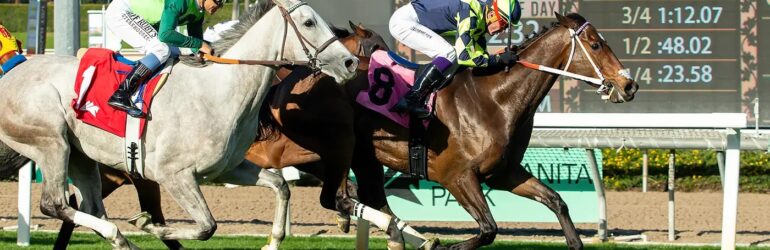 Vodka Vodka Enters Santa Anita Handicap