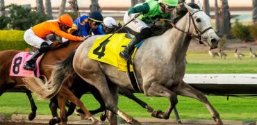 Hey Jessie, Catalina Cocktail in Santa Ana Stakes