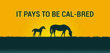 Cal-bred Day at Golden Gate June 8